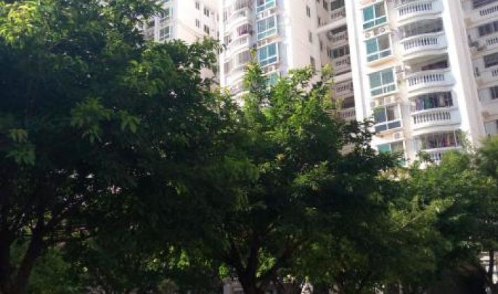 陶然居 135 中楼层 54.8万_【优优好房】梅州房产网