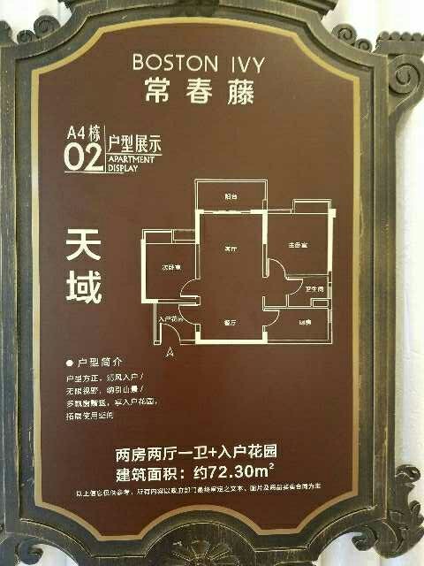 黄埔区其他 实地常春藤 2室2厅1卫 72平米