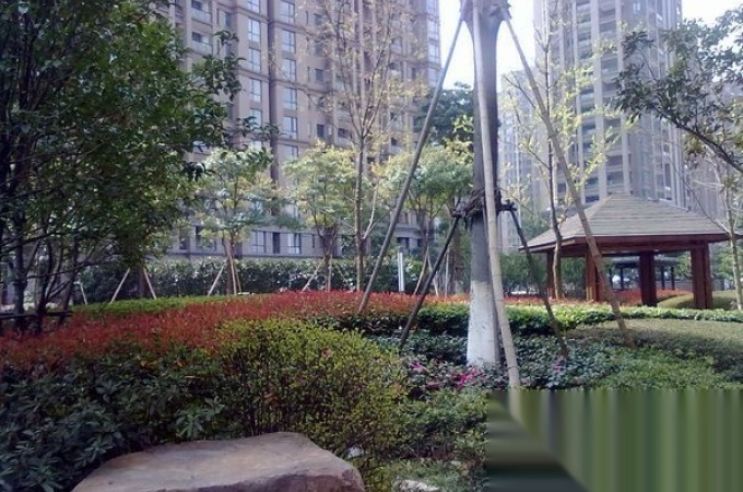 理想康城国际