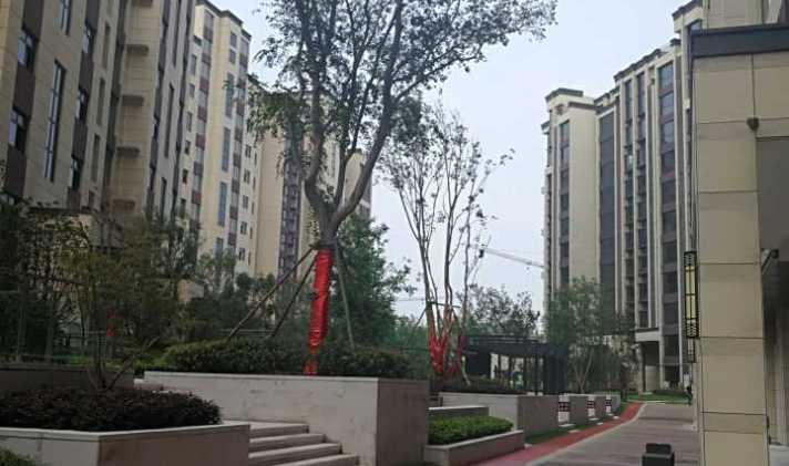 淇滨区城南 名门俏江南 3室2厅1卫 100平米