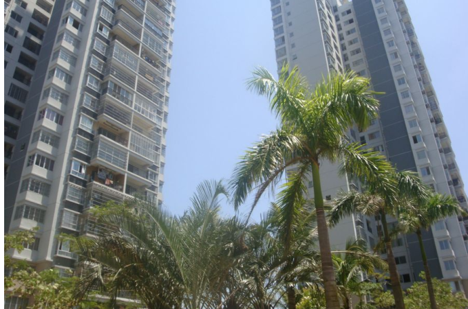 江海汇