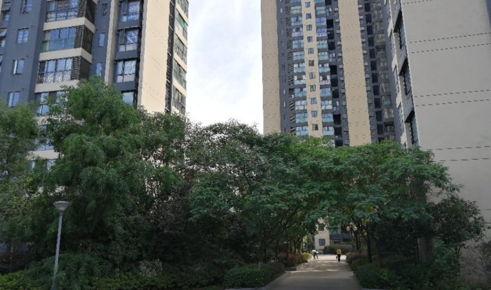 肥西县上派 沃顿花园 2室2厅1卫 70平米