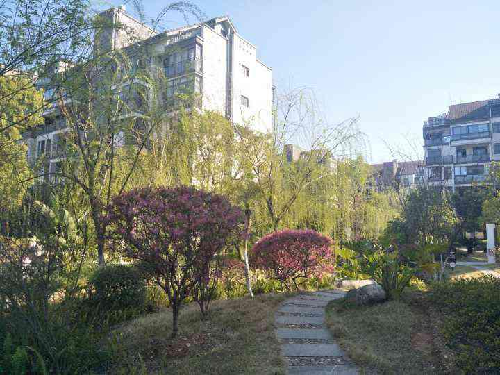 联发旭景精装2房带家具家电