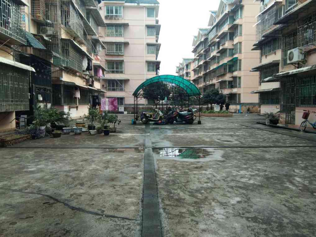 迴龙小区缺稀好楼层 精装修三房两厅一卫 南北通透 元旦可以看