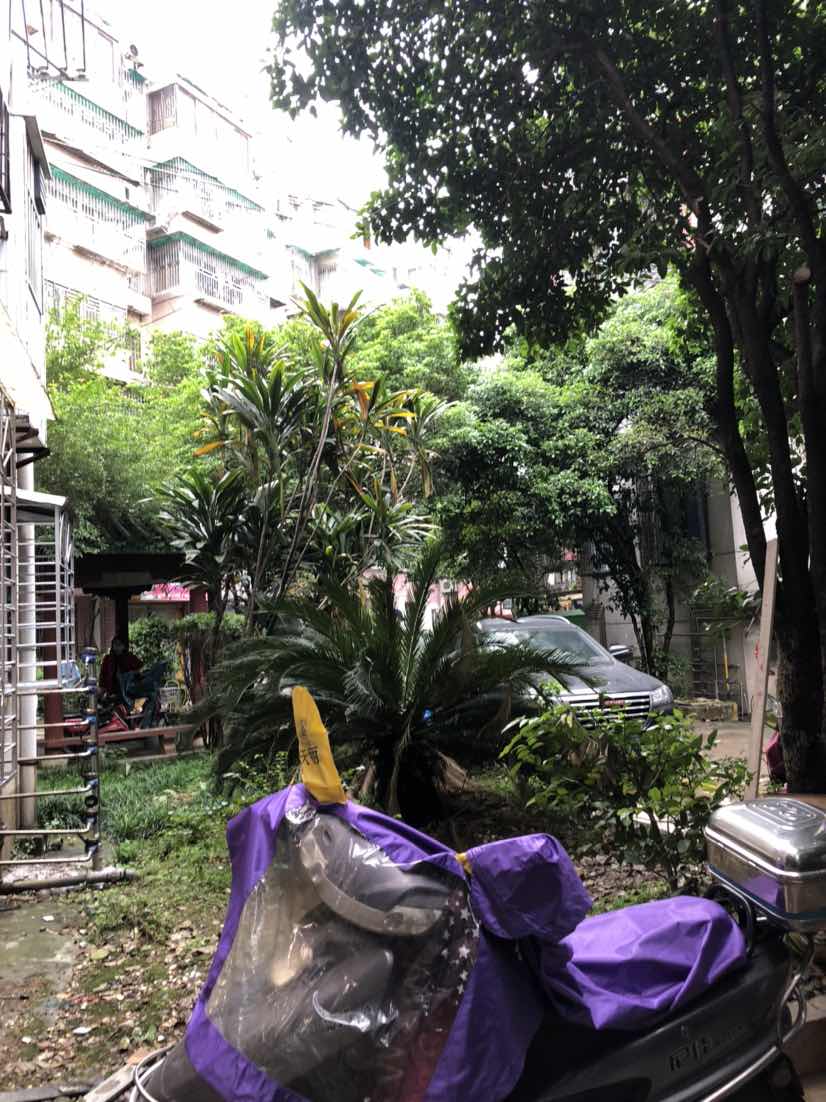 桂花园1楼 相当于2楼 全新装修 带杂物间