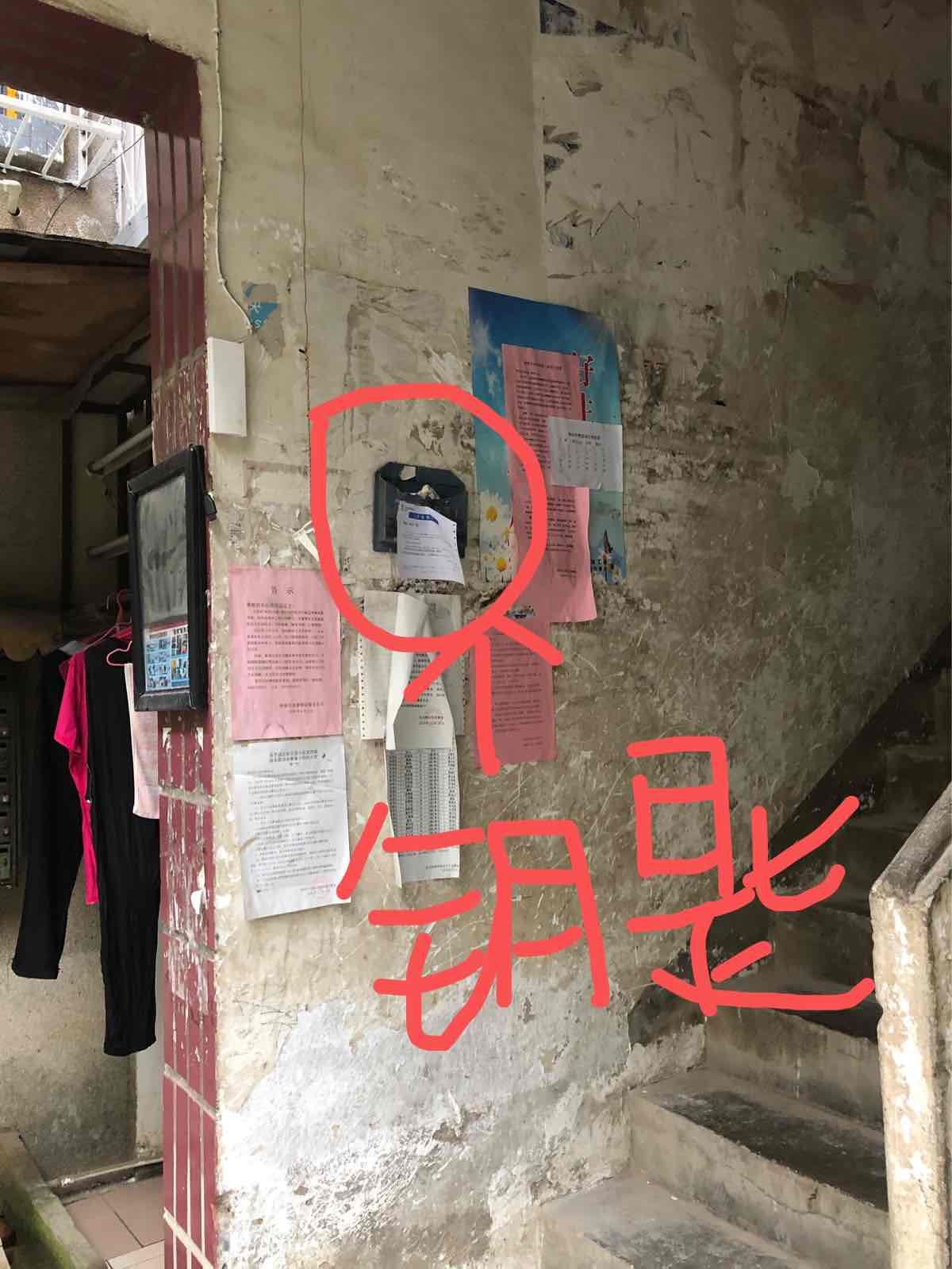 桂花园1楼 相当于2楼 全新装修 带杂物间