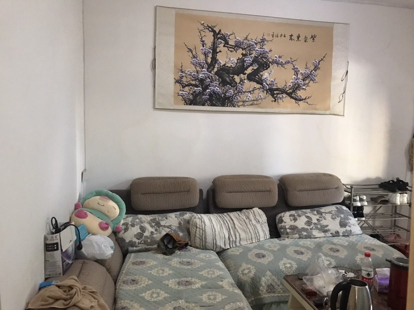 房东急售！雉山路18号 3楼 精装2房 60㎡ 35万