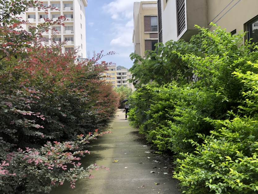 繁华地段，独栋独院。前后花园。独自一院两栋。有自家合院。