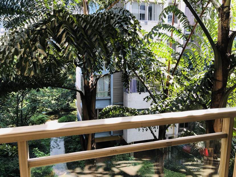 东岸枫景步梯4楼3房2厅1卫精装修