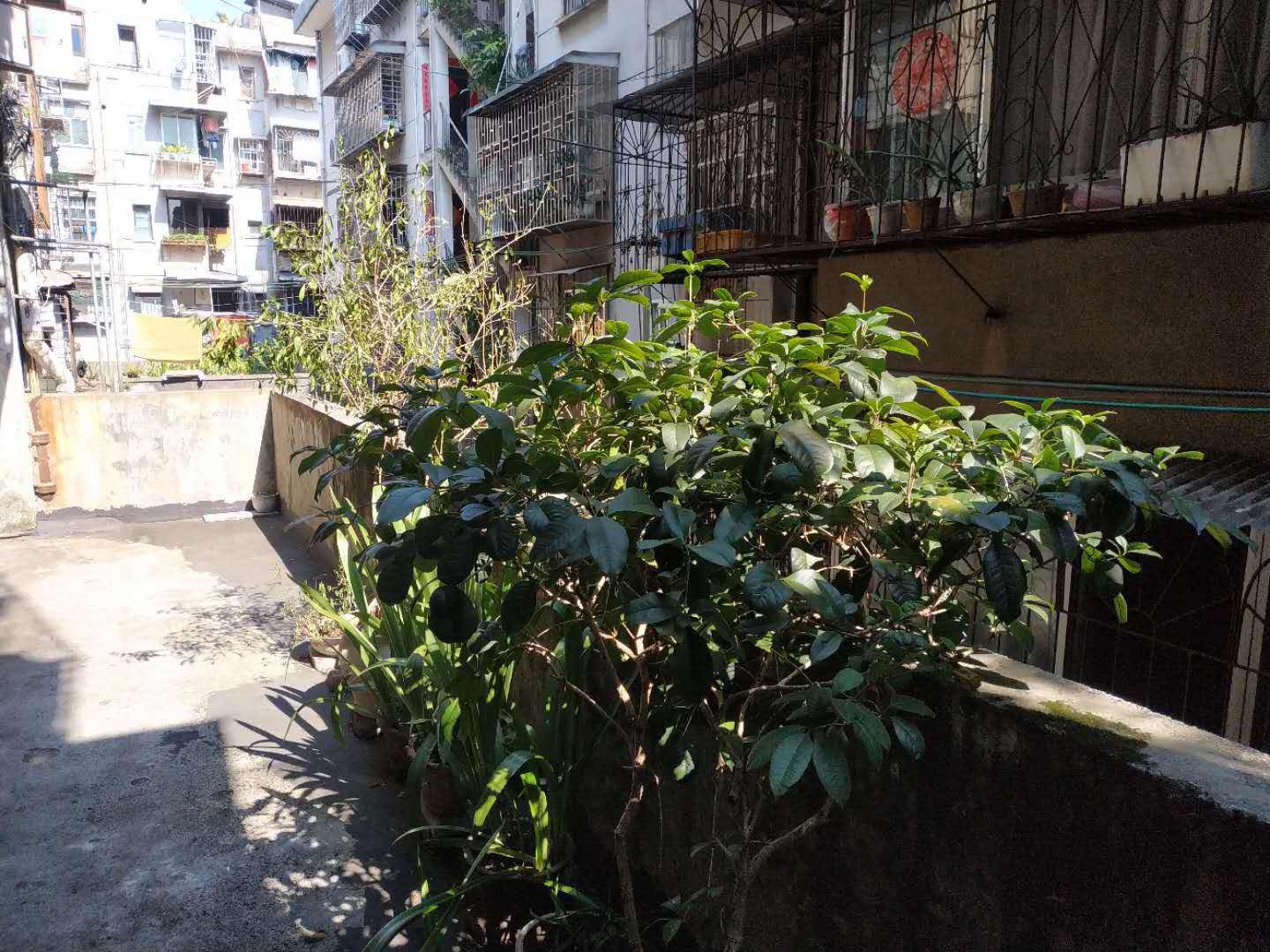 西山路23号 养生二楼带露台 近西山小学西山公园早市