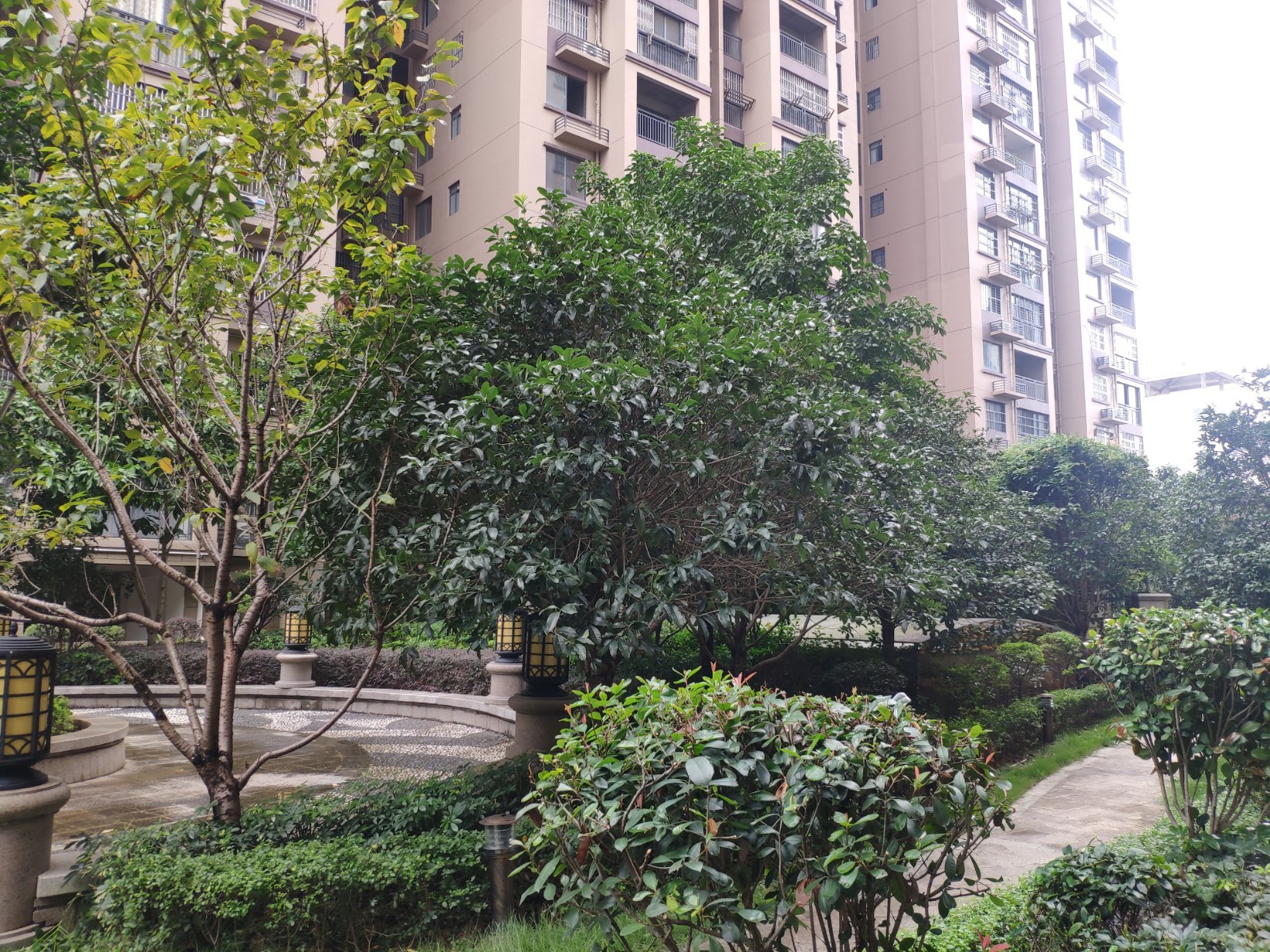 雅云尚 城 4房2厅2卫 2楼 有证 有露台，3字头单价