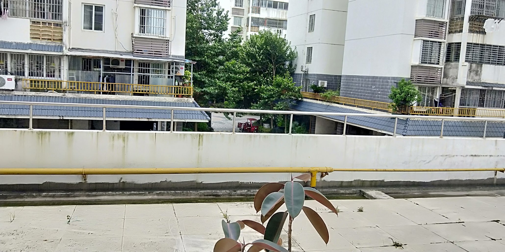 养生二楼，电梯房，超大露台，是种花种草最理想的。