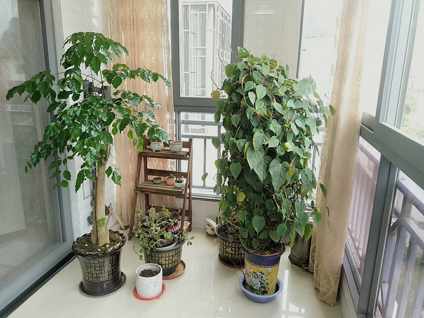书童好房5房2厅，户型方正，精装修