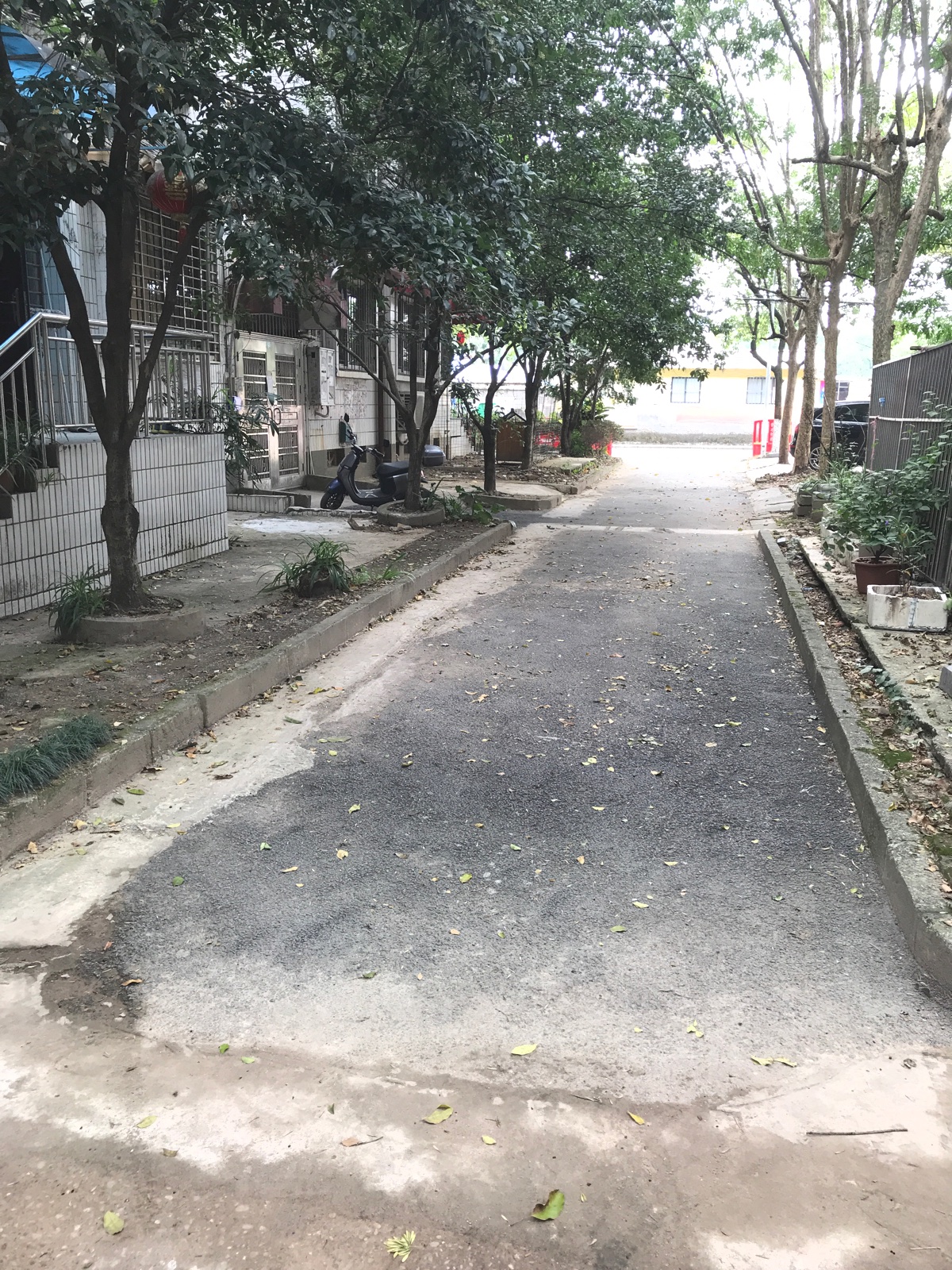 安新南区 精装三房出售