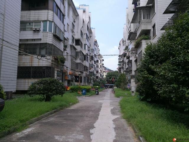安新南区431栋 江畔御园隔壁 不贷款 不贷款