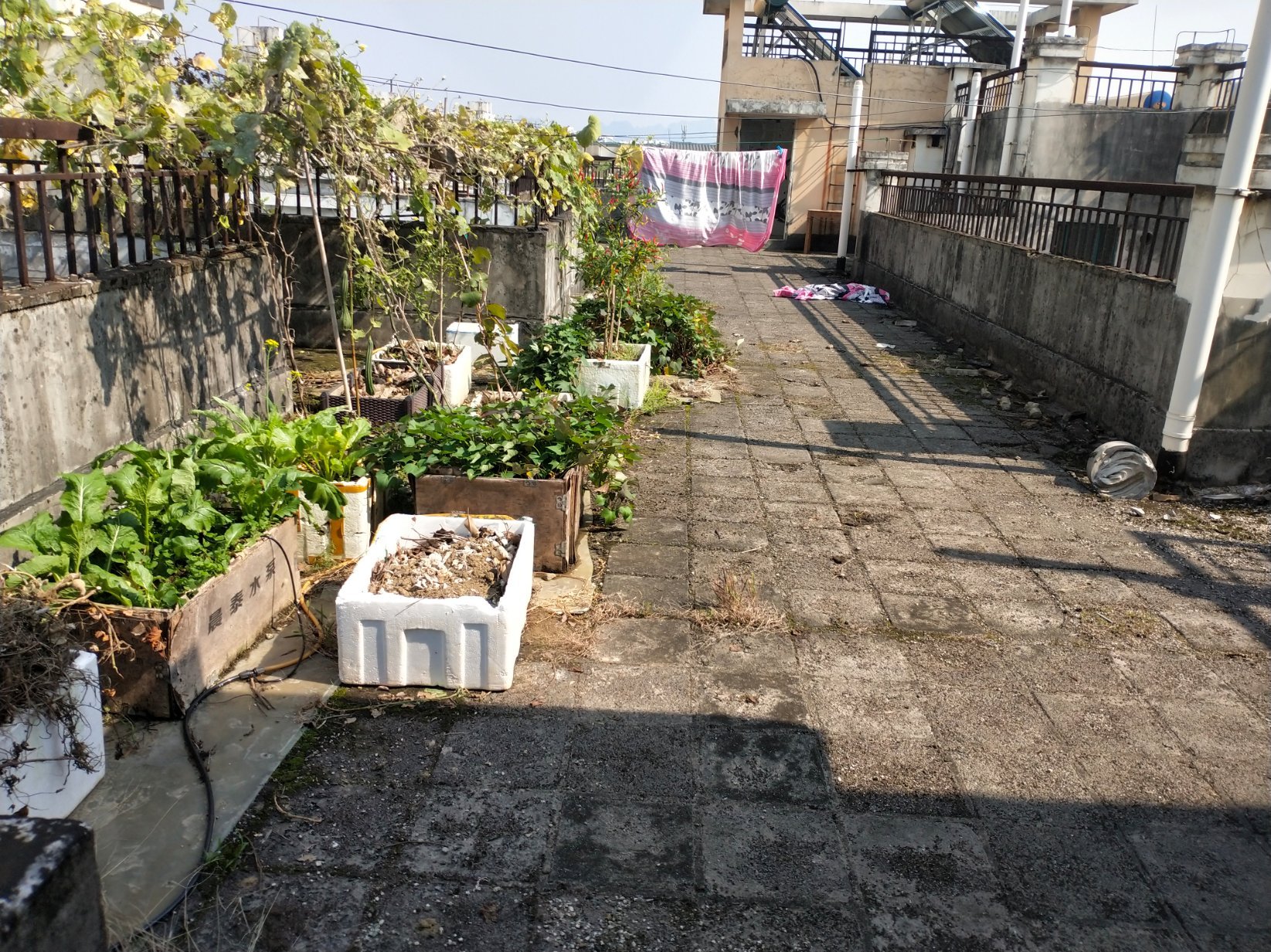 爱琴湾6楼7楼复式4房2厅2卫送50平大露台