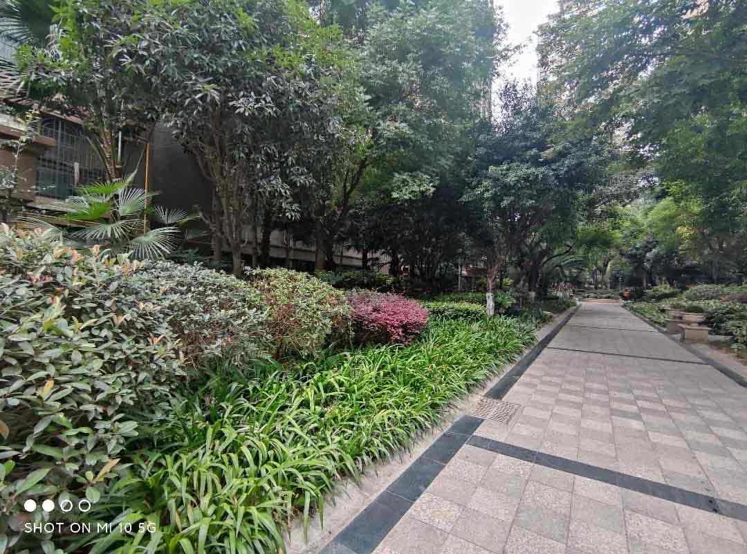 春天印象,春天印象位置好、户型方正,中间楼层,精装拎包入住16