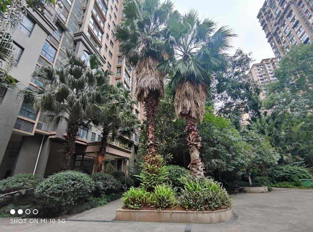 春天印象,春天印象位置好、户型方正,中间楼层,精装拎包入住15