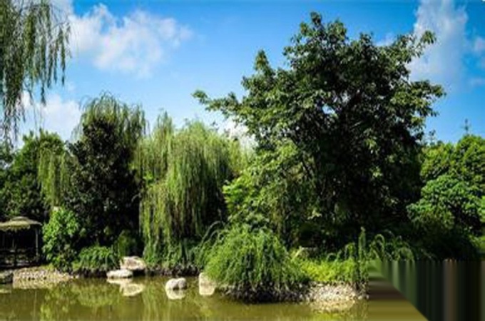 太行瑞宏朗诗金沙城