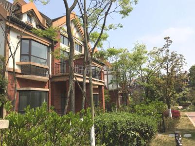 金堂赵镇 伊顿小镇 5室3厅4卫 318平米