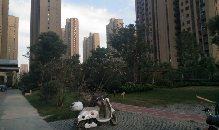 阜阳二手房 颍州区 > 宝龙城市广场二期  1/1 103 万 11123元/平米 3