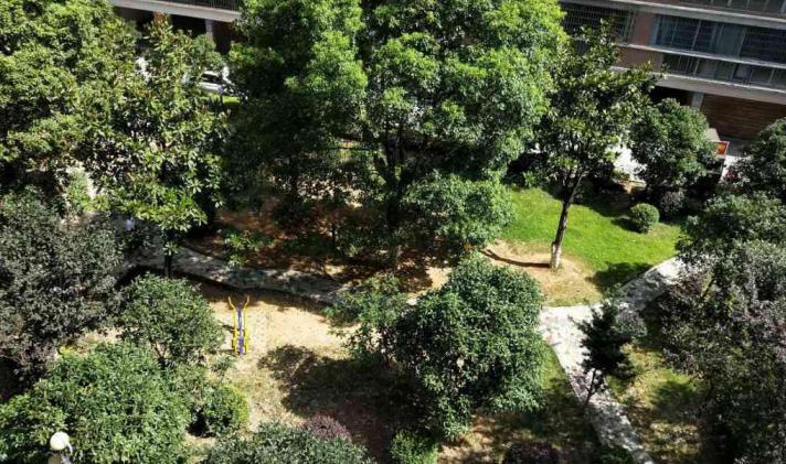 冷水滩区河西梧桐路 西苑春天 3室2厅2卫 143平米